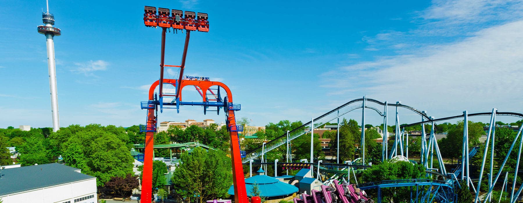 Twizzlers Twisted Gravity