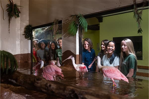kids-looking-at-spoonbills.jpg