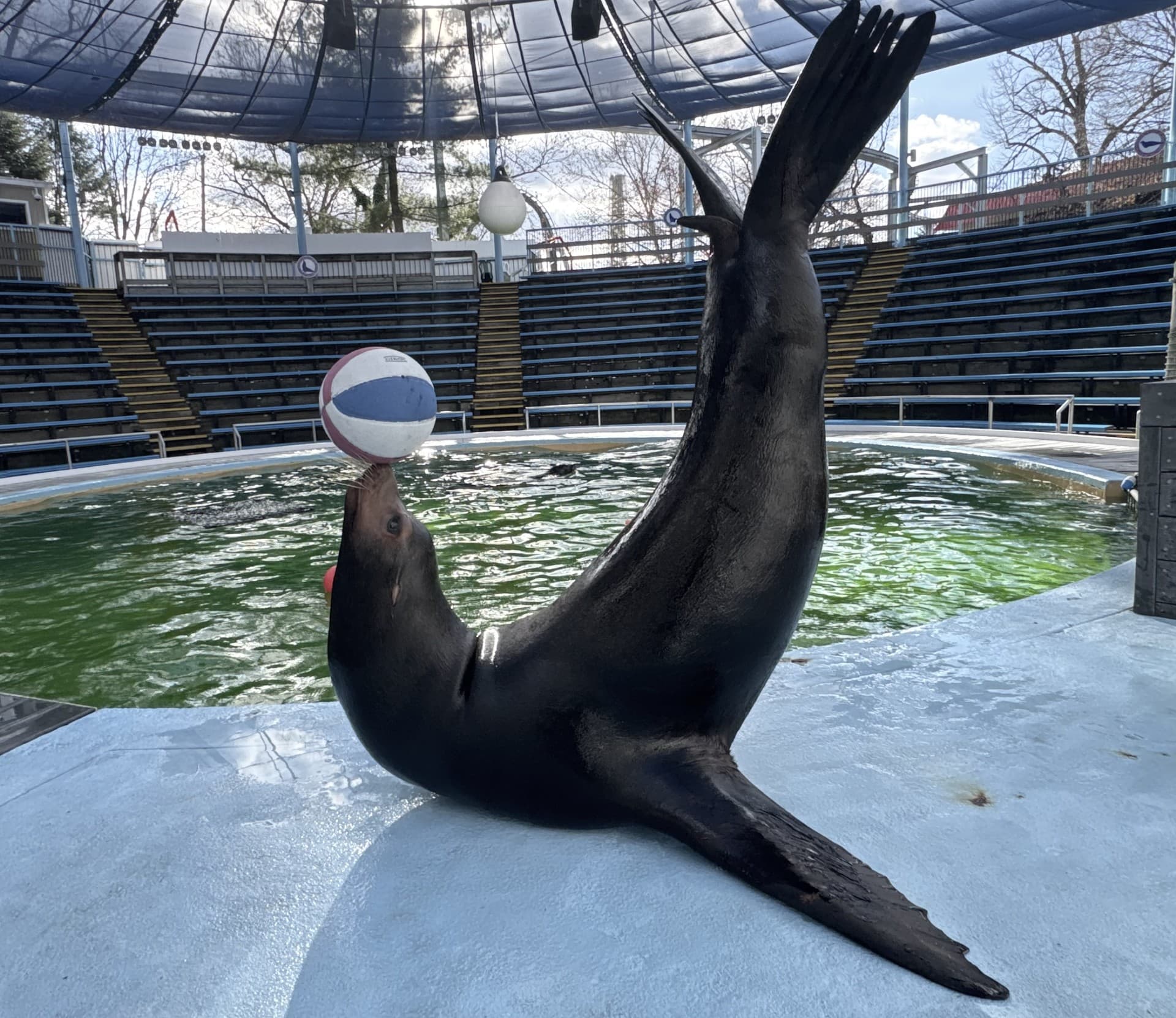 diego the seal at hersheypark
